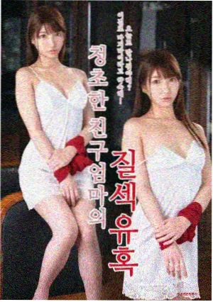 春日迷途